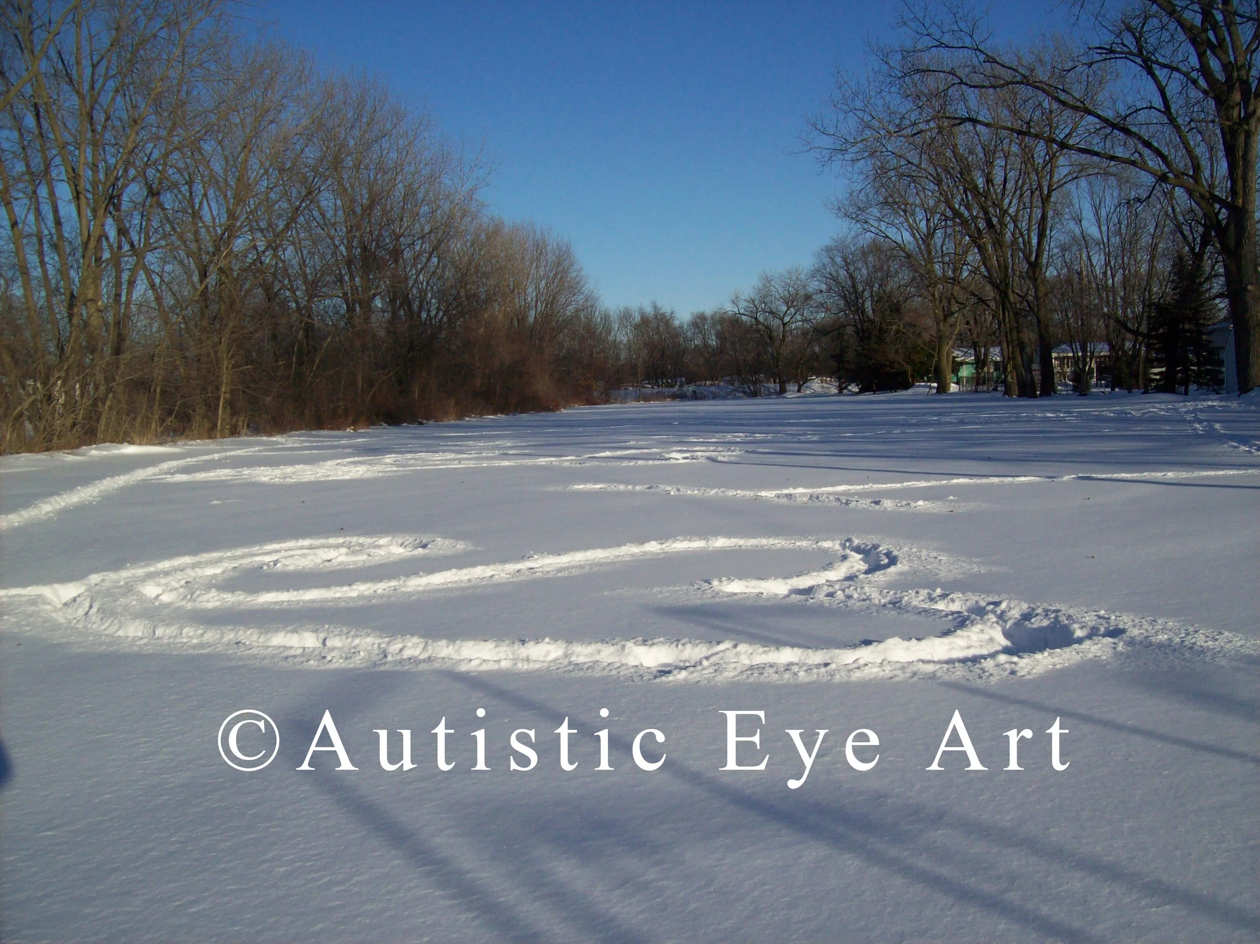 Field of hearts and the groundhog day blizzard of 2011